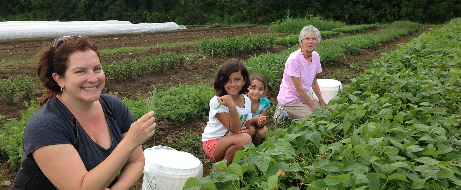 Volunteers gleaning in the community